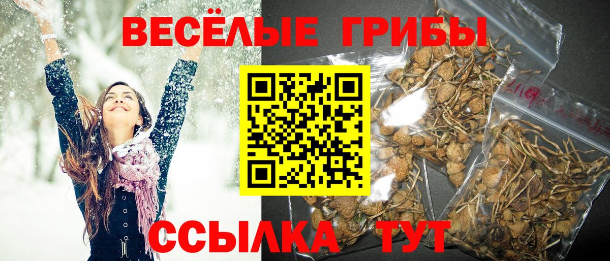 Псилоцибиновые грибы прущие грибы  Вход с VPN  Горячий Ключ 